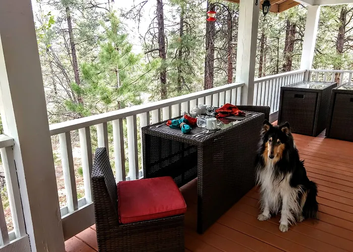Bed and breakfast Sheridan House Inn- Adult Only